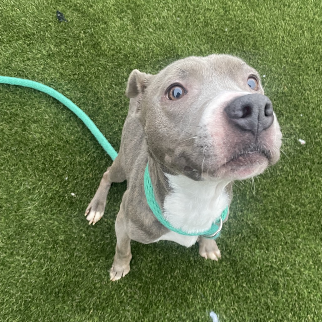 Syria — thumbnail 5