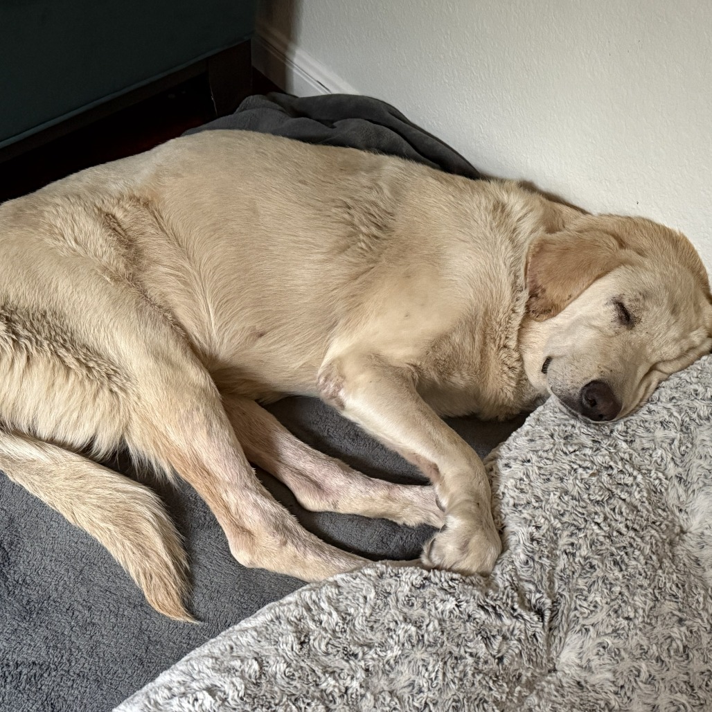 Betty, additional photo