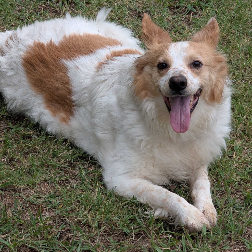 Sandy photo 35