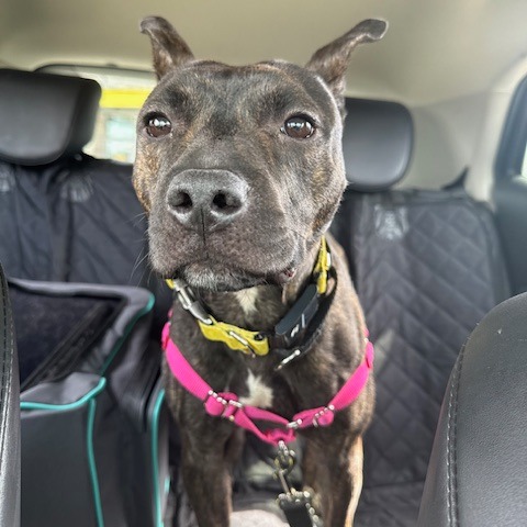 Photo of Root Beer 7