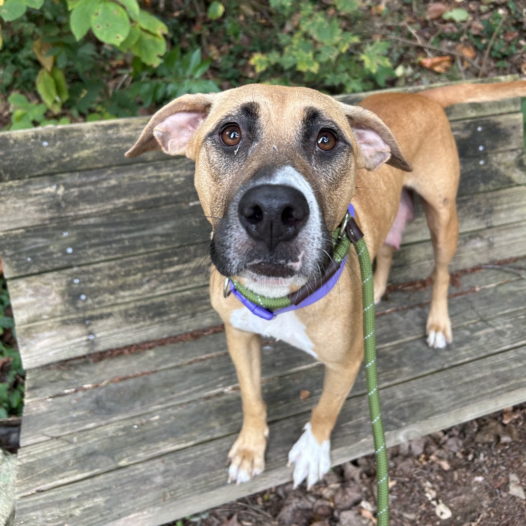 Bambi — thumbnail 5