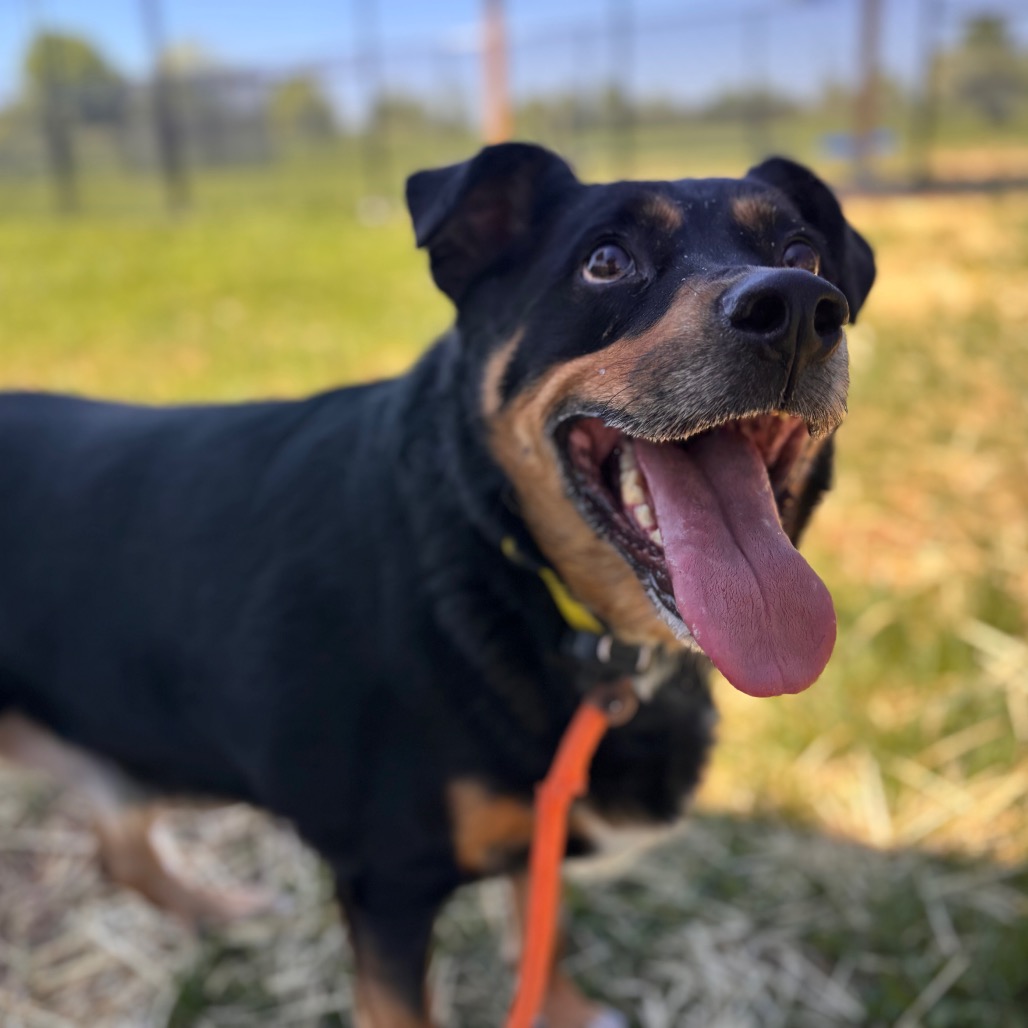 9ed0be667d3244445d0f791e92beead2