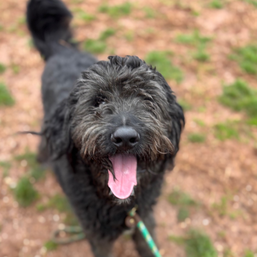 97abfa48e3f9db76523709bcd18947fc