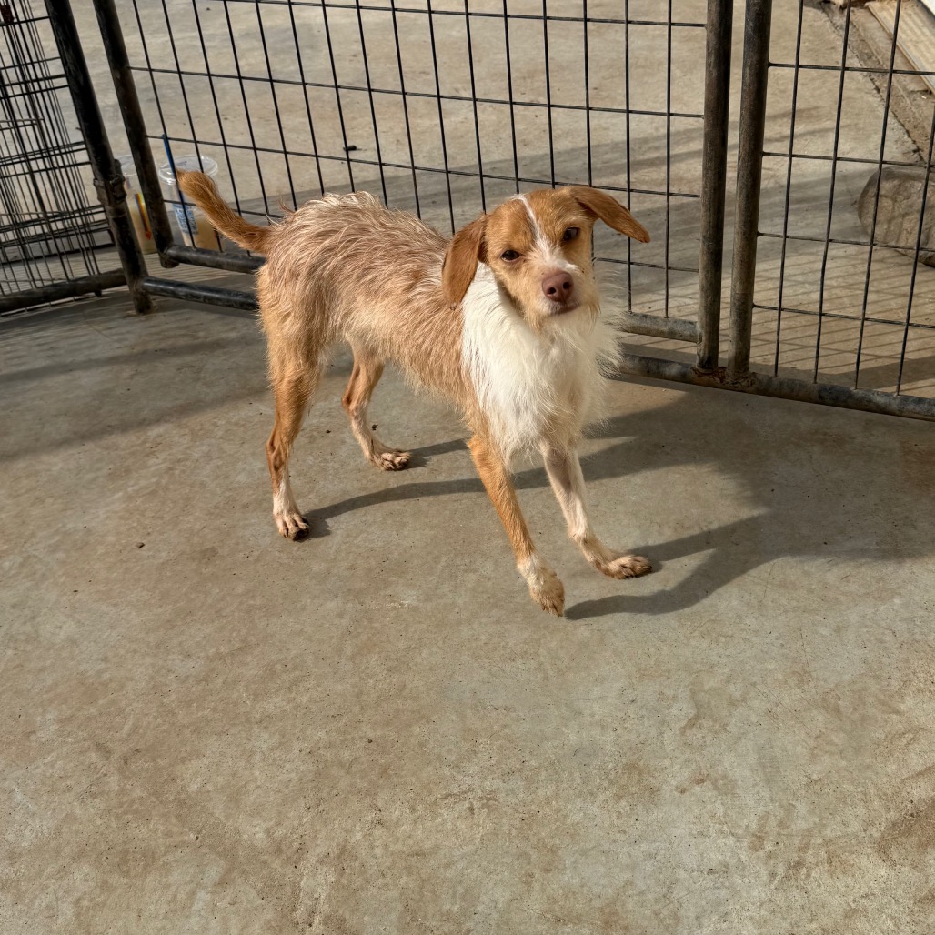 Mr. Bubbles — thumbnail 4