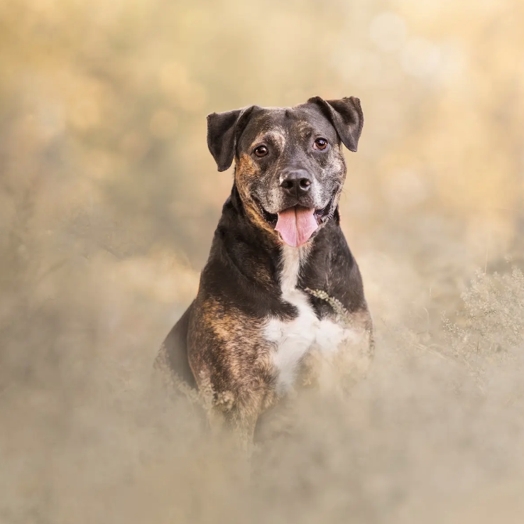 Fury, photo 20