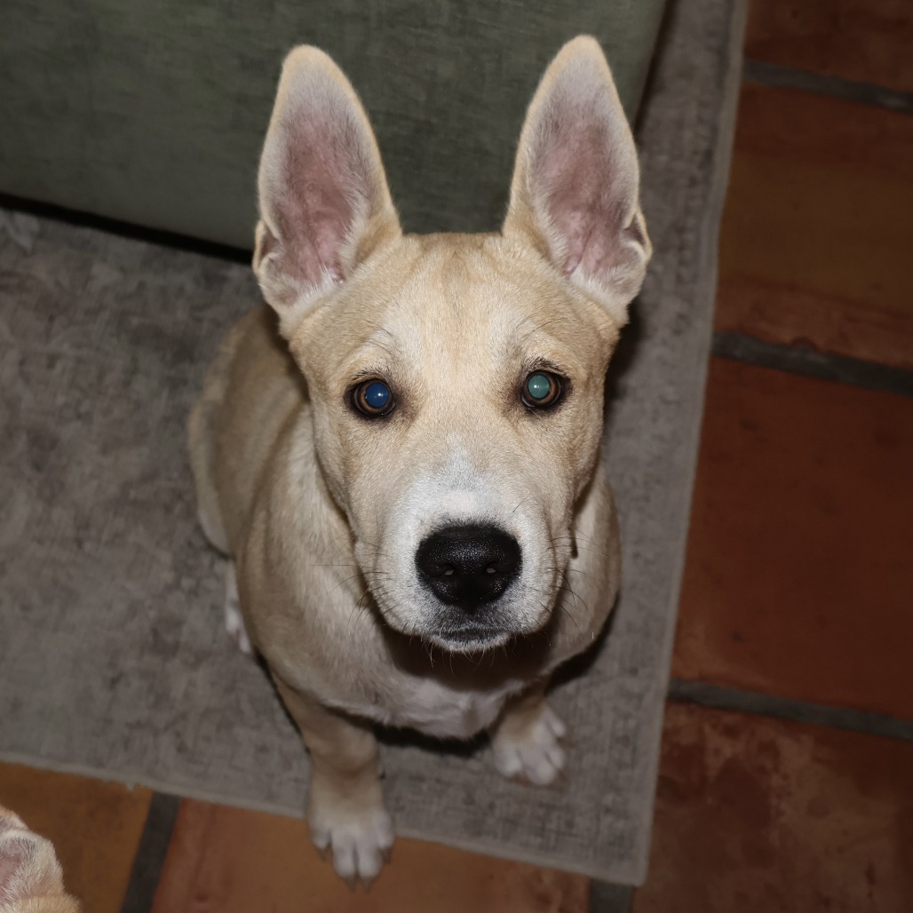Gus photo 3