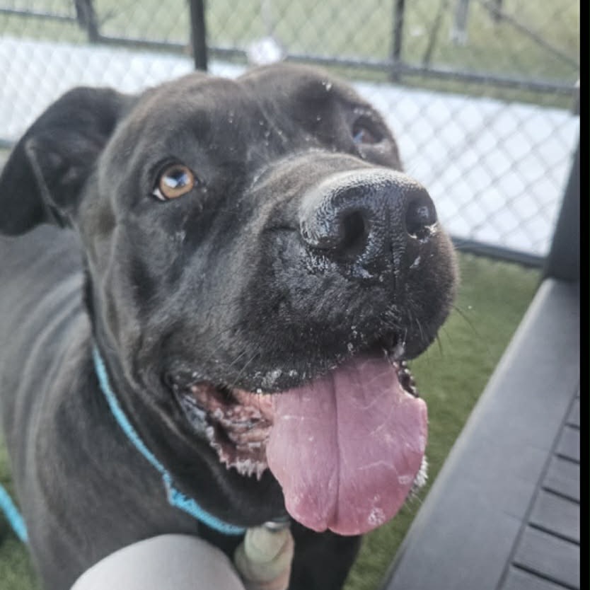 Lucy — thumbnail 5