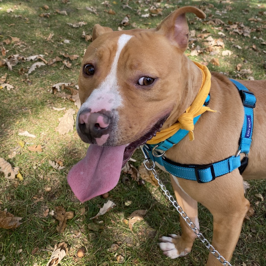 Milo