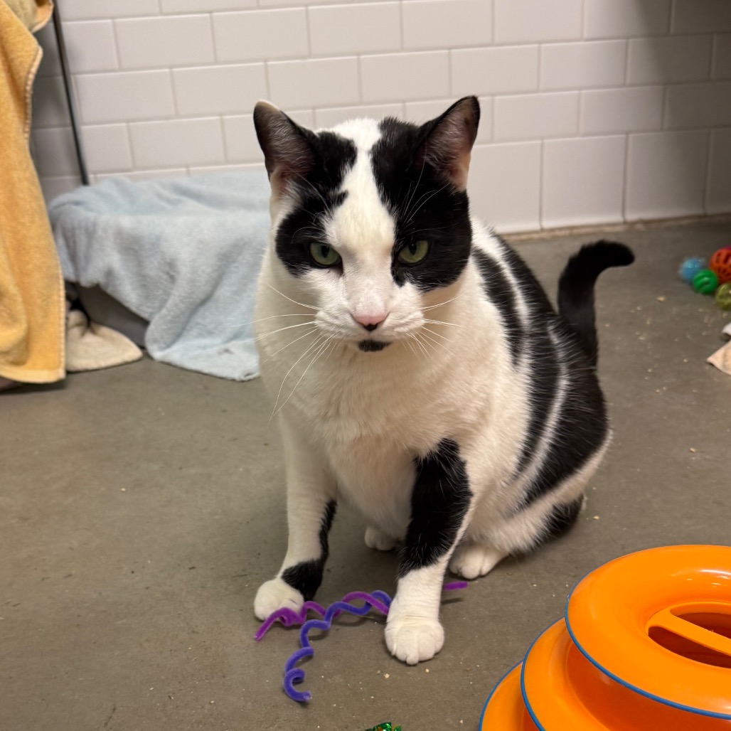 Photo of QZ and Freddy 15