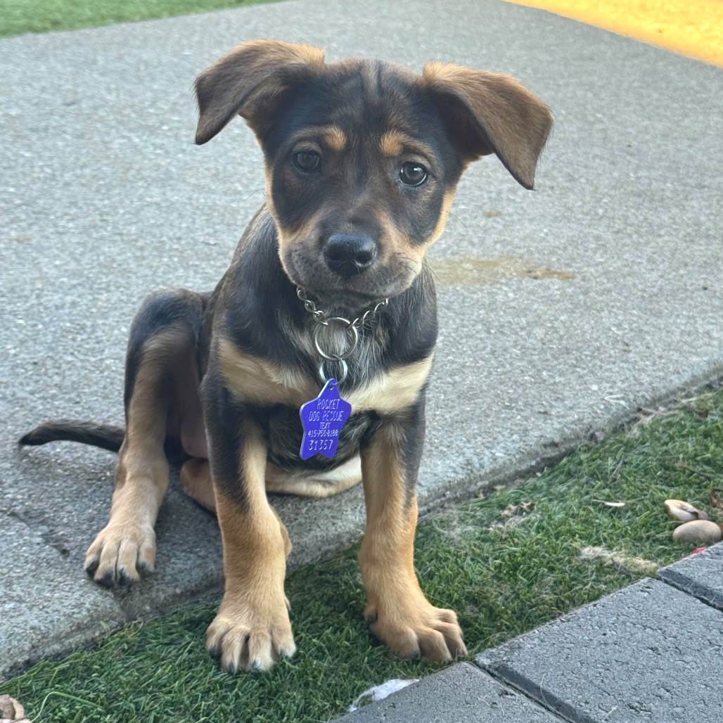 Doris — thumbnail 2