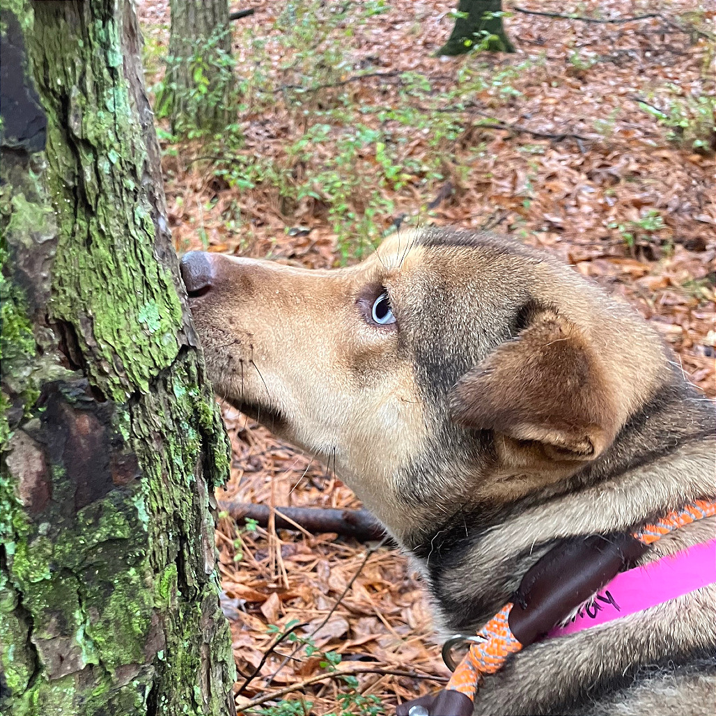 Wendy — thumbnail 5