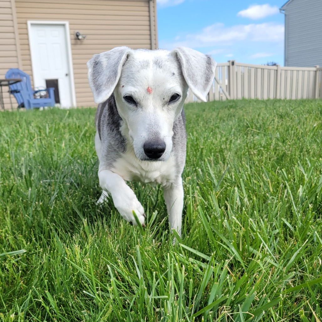 946fd8abeec8c3ae933249a0e40ece82