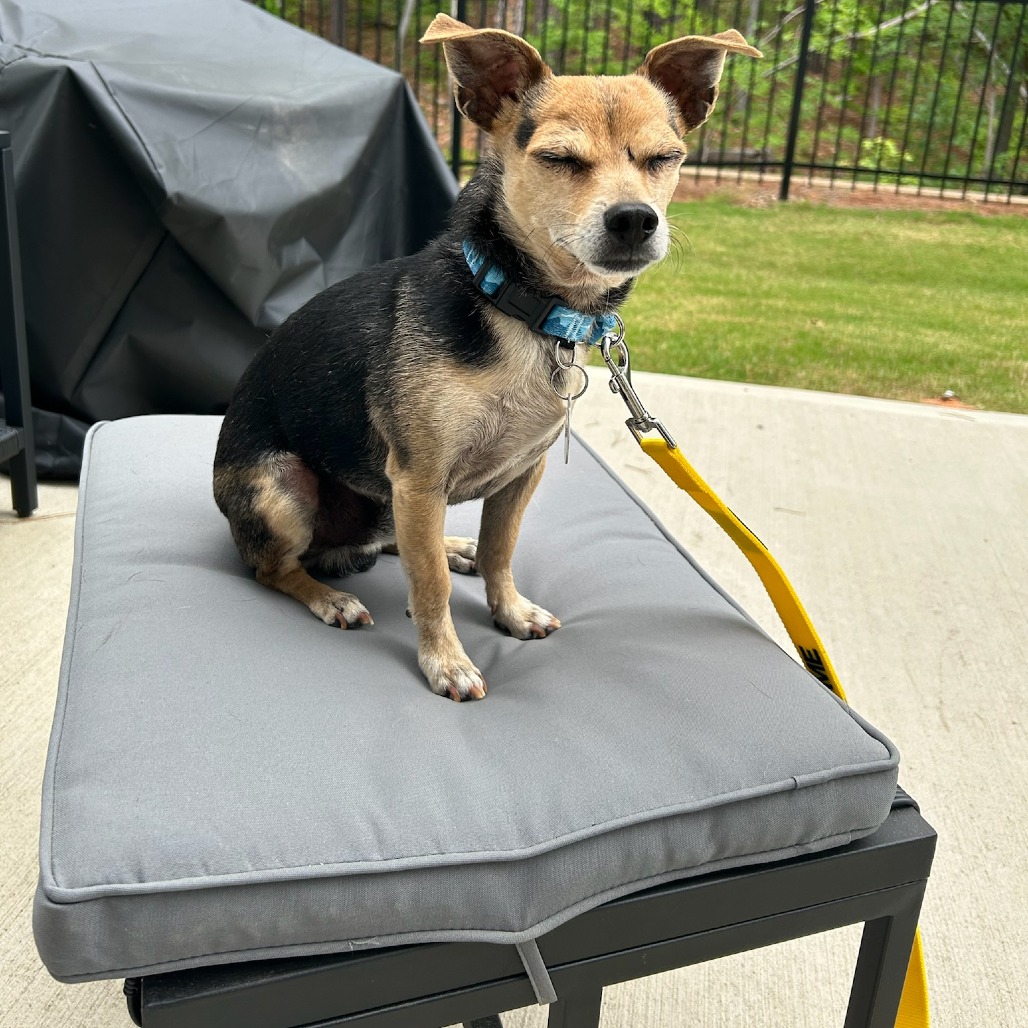 Rolo, photo 6