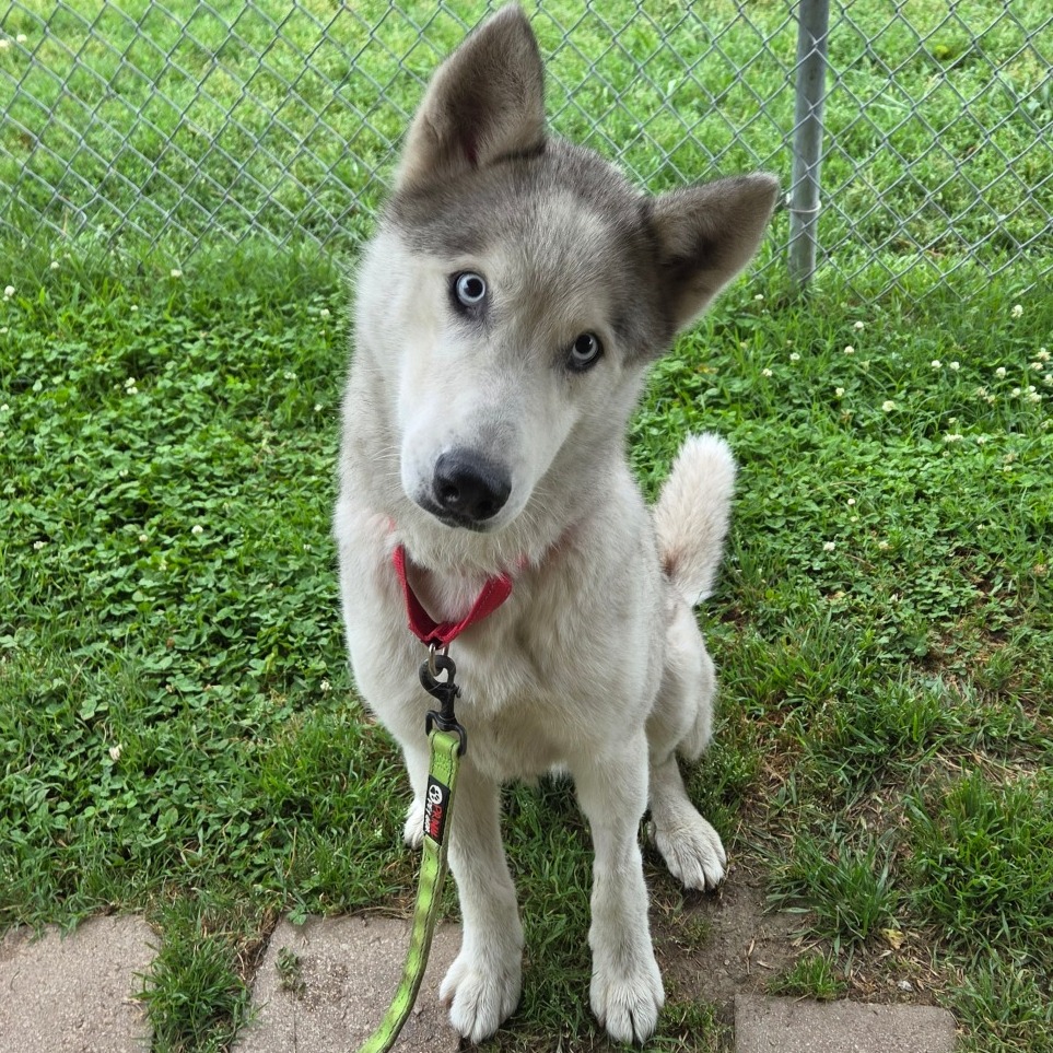 Casper photo 4