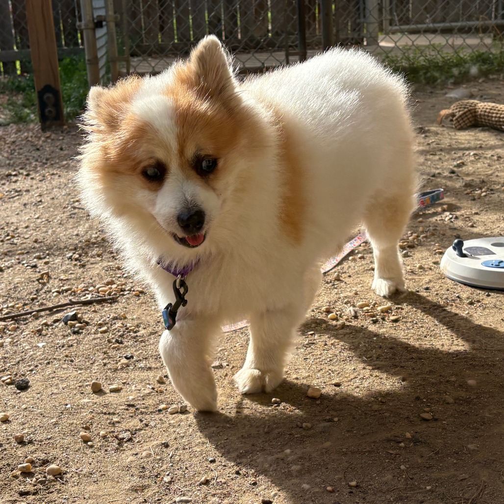 Bruno, photo 19