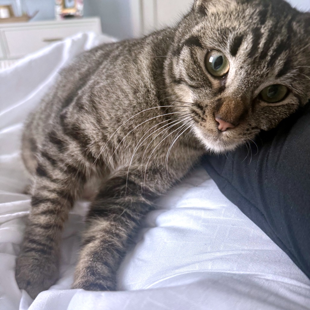 Casey — thumbnail 4