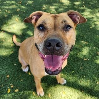 Myra — thumbnail 8