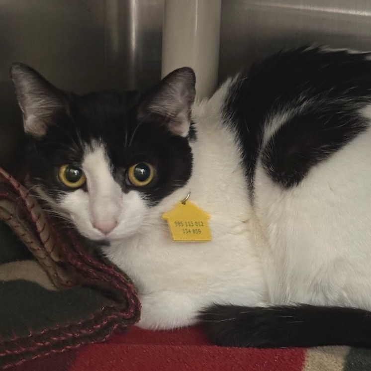 Leeko — thumbnail 2