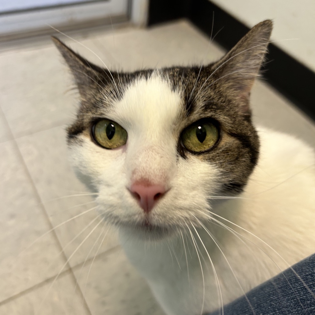 Redis — thumbnail 11