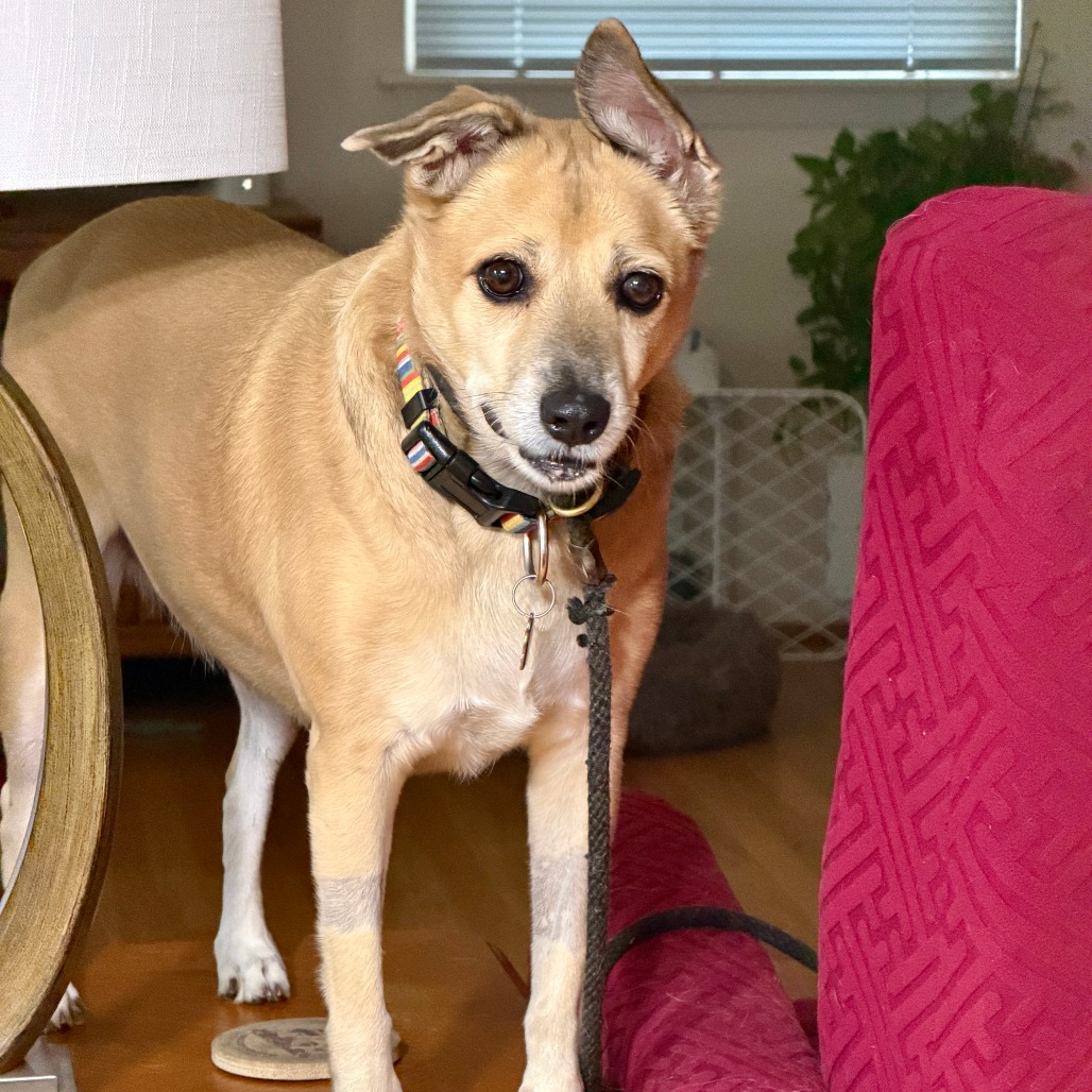 Chloe, photo 11