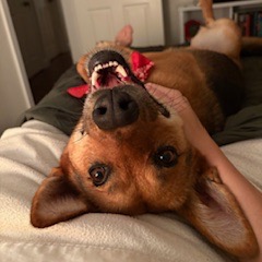 Lillith