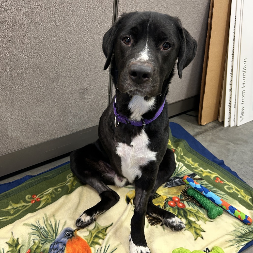 Photo of T.L. Frank 8