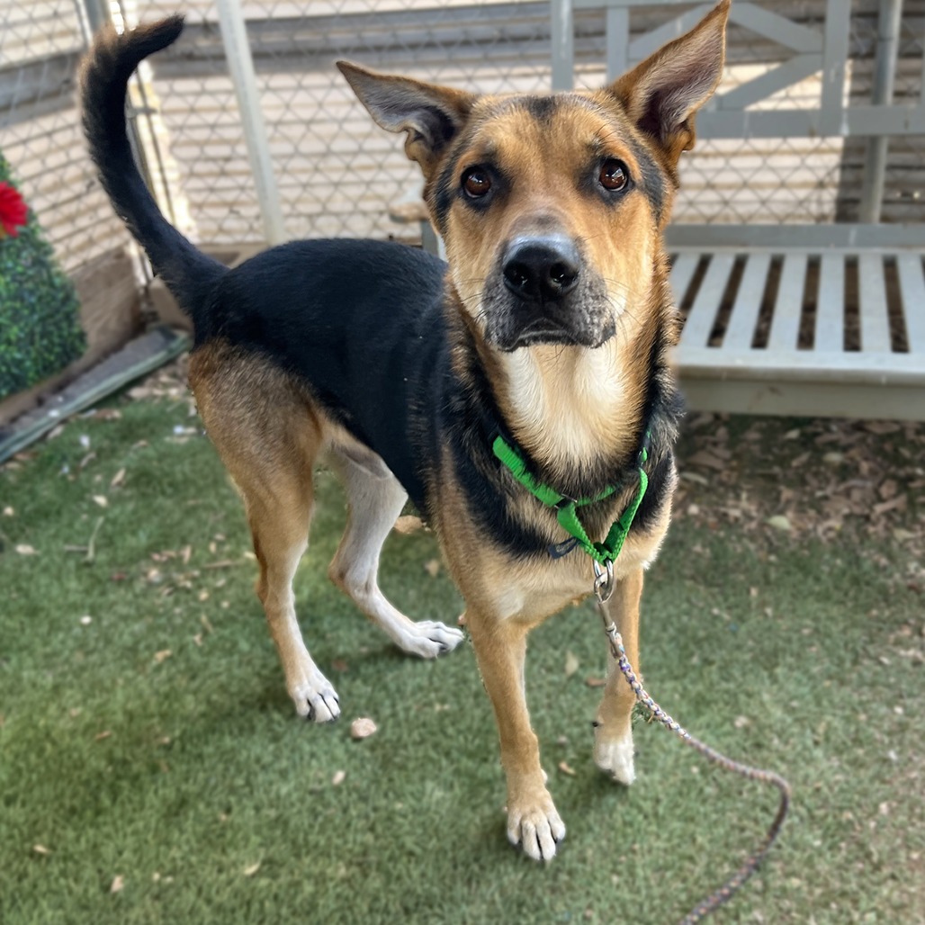 Jackson Pollock — thumbnail 8