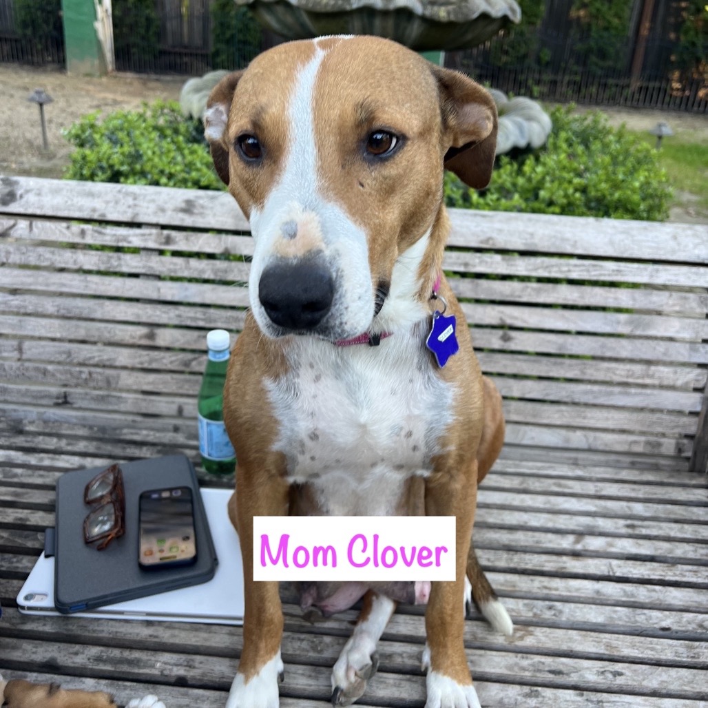 April — thumbnail 2