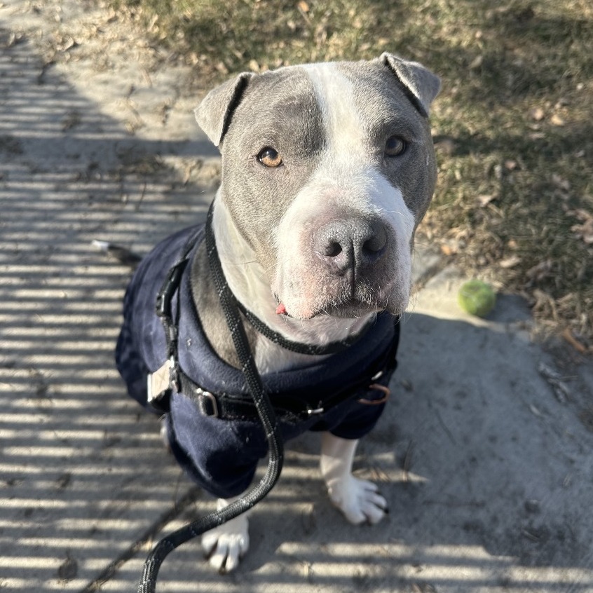 Lil' Ears McGee — thumbnail 4