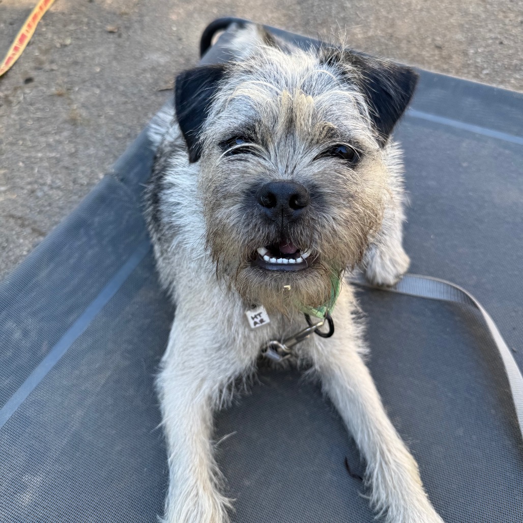 Peanut Butter, photo 24