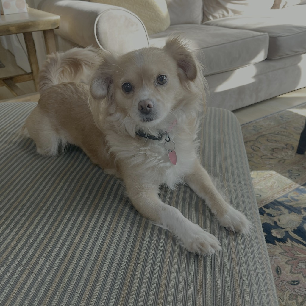 PEACH, photo 14