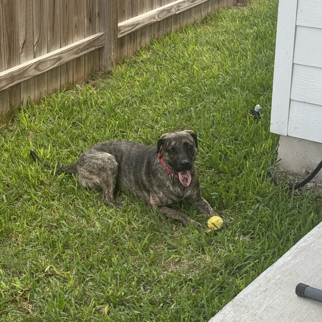 Murph photo 13