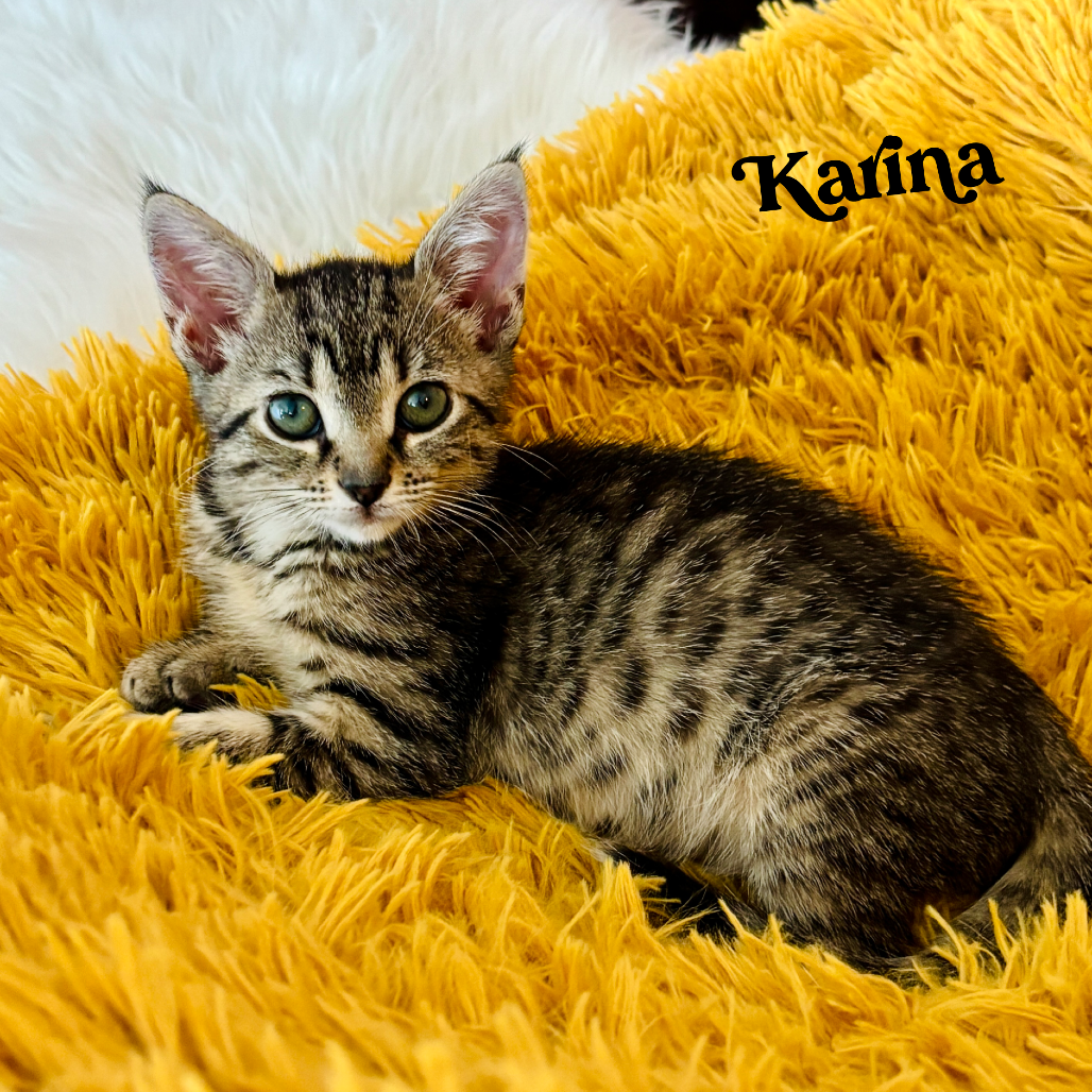 Karina