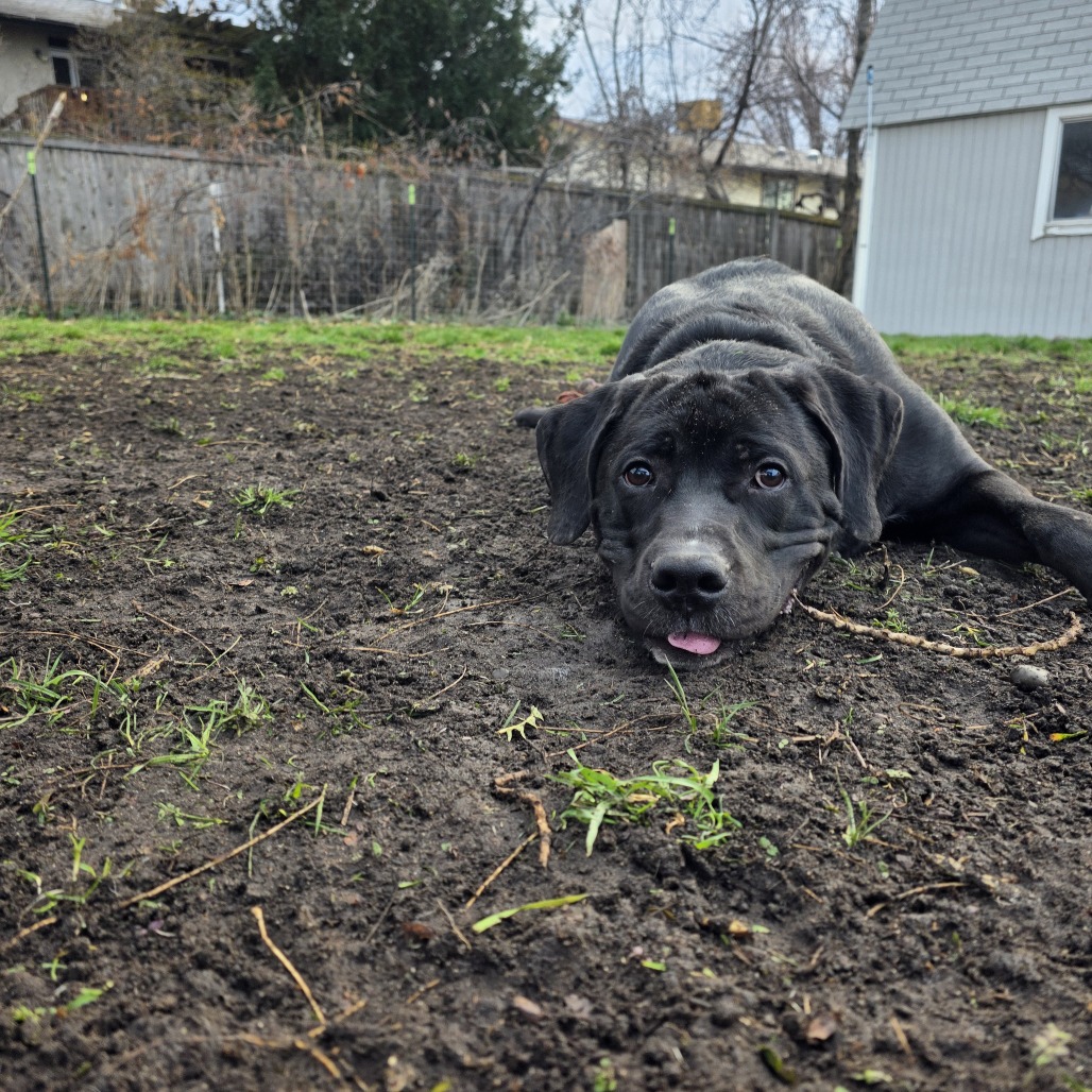 Socks — thumbnail 4