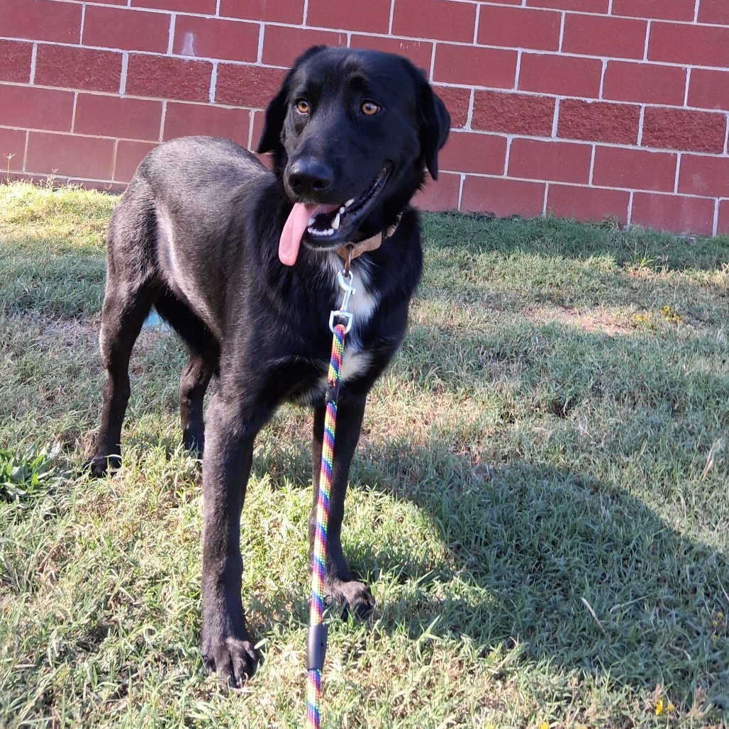 Ernie, photo 4