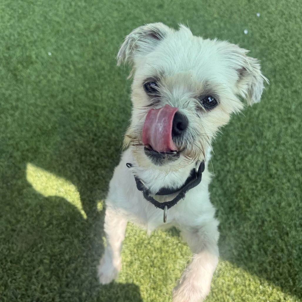 Photo of Alf 4