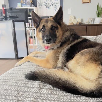 Rosco, photo 9