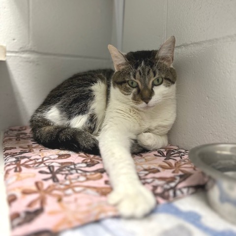 Evelyn — thumbnail 3