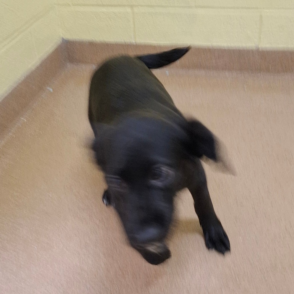 Ella photo 4