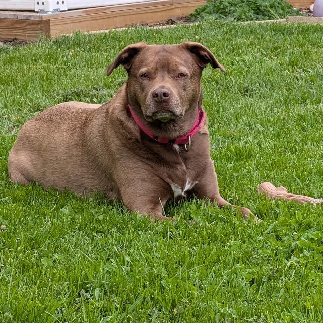 Rex, photo 30