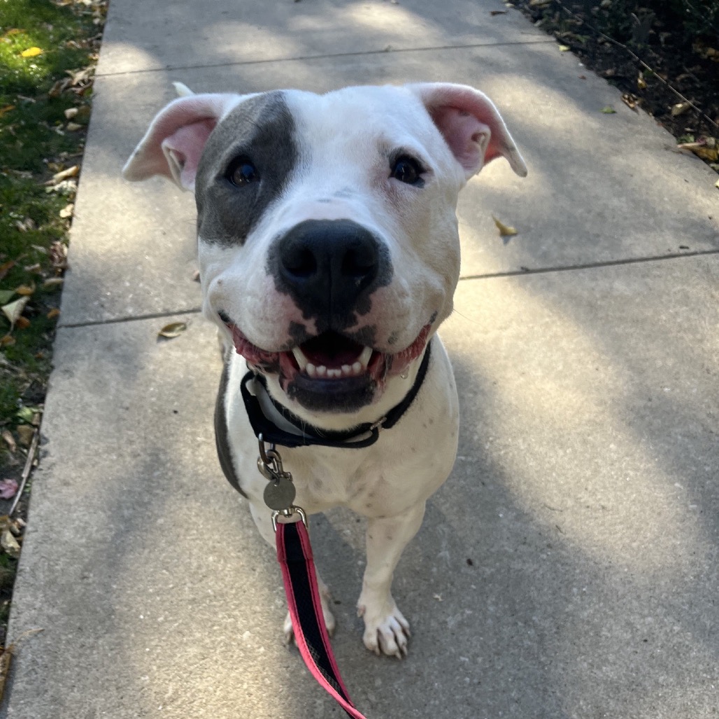 Fluttershy — thumbnail 5