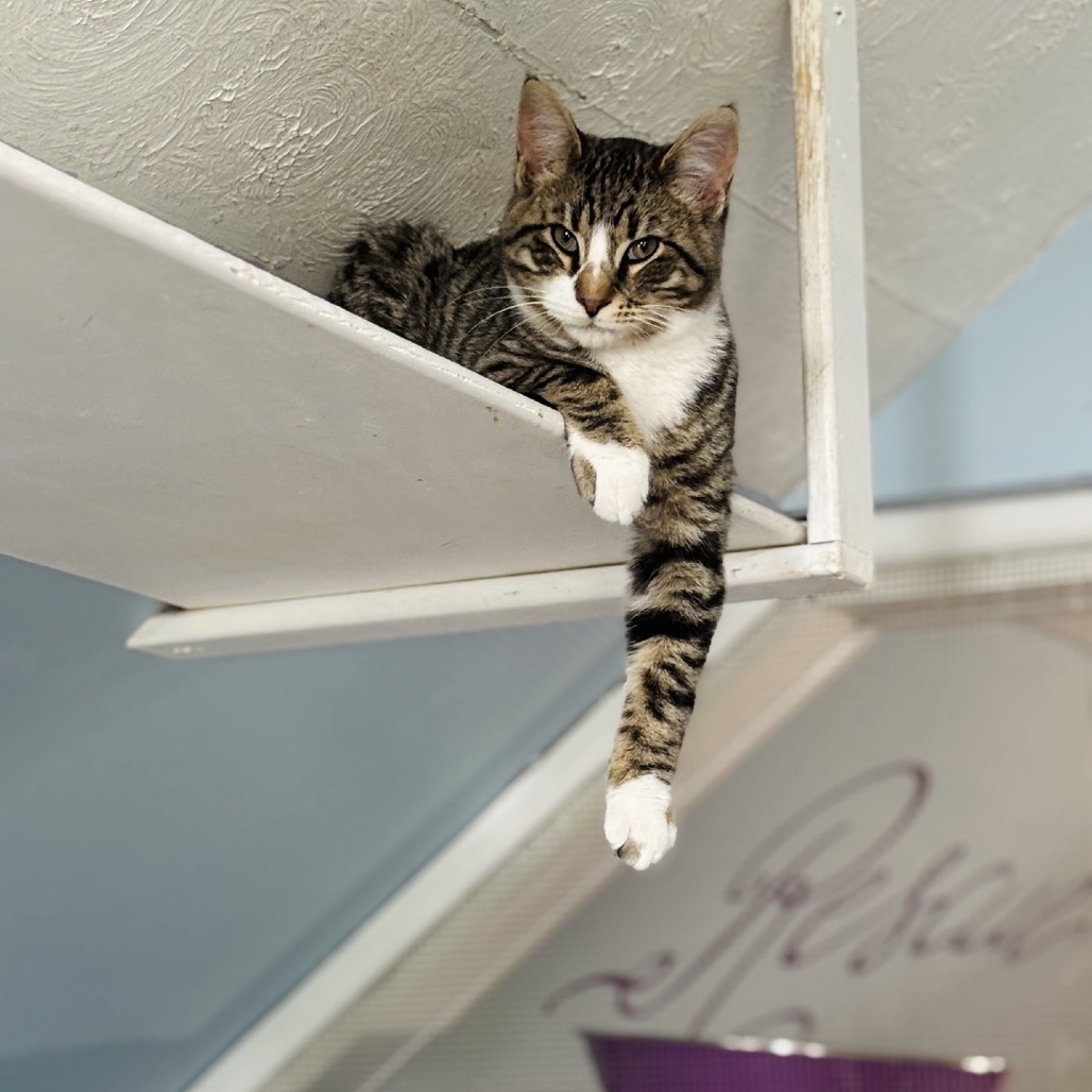 Exxon — thumbnail 3