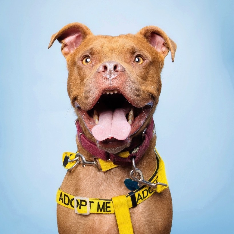 Image of Peter Pan looking at the camera