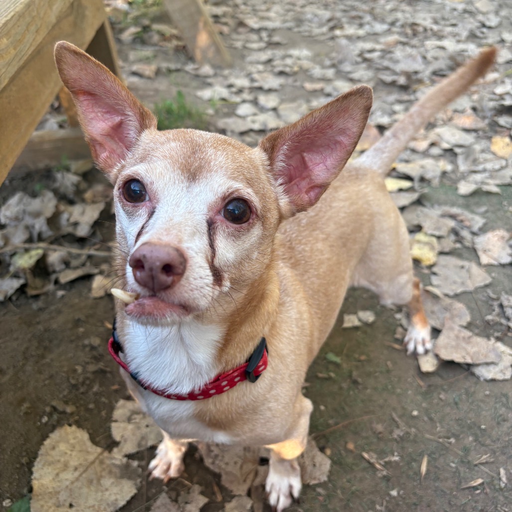 Maximilian-Foster — thumbnail 5