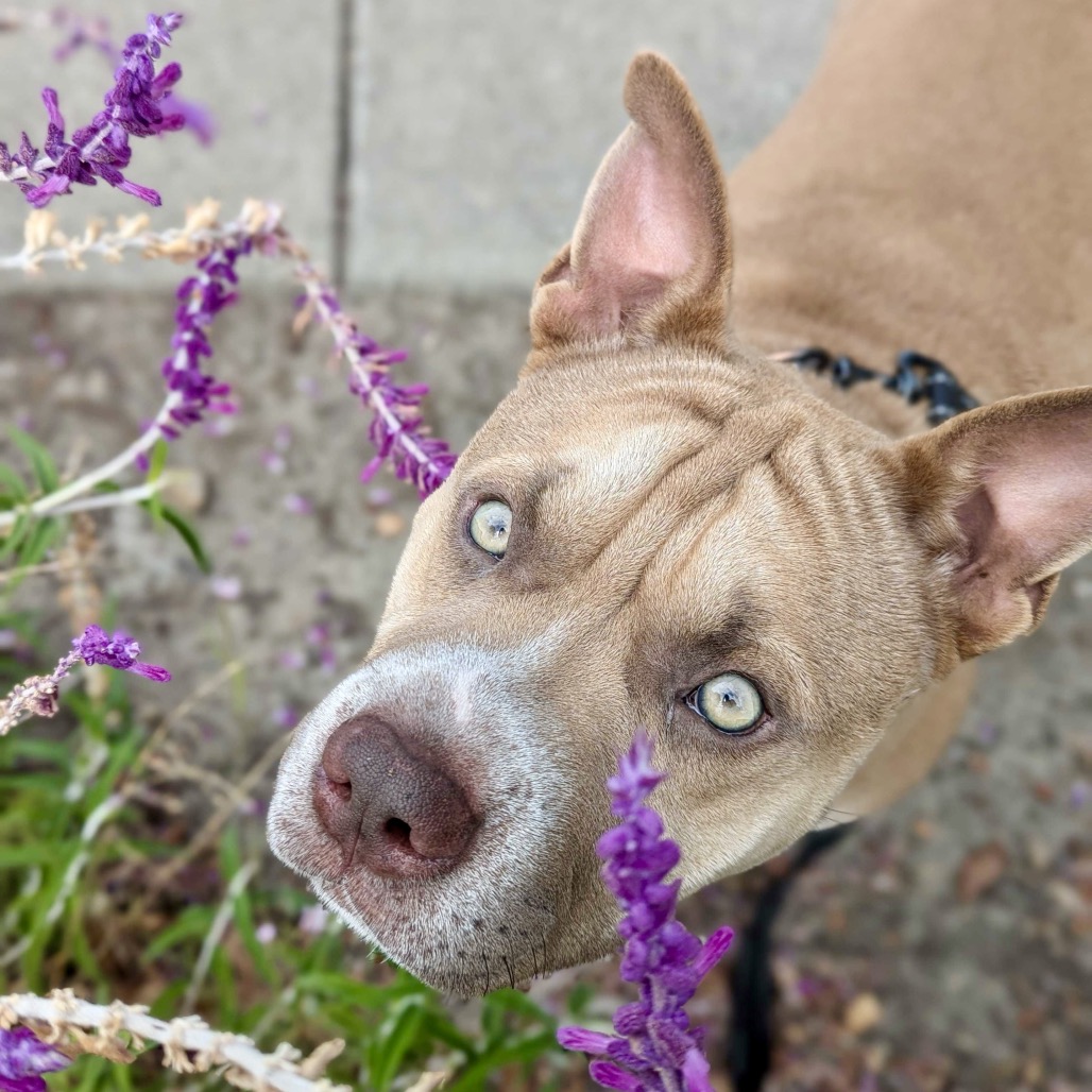 GUS, photo 4