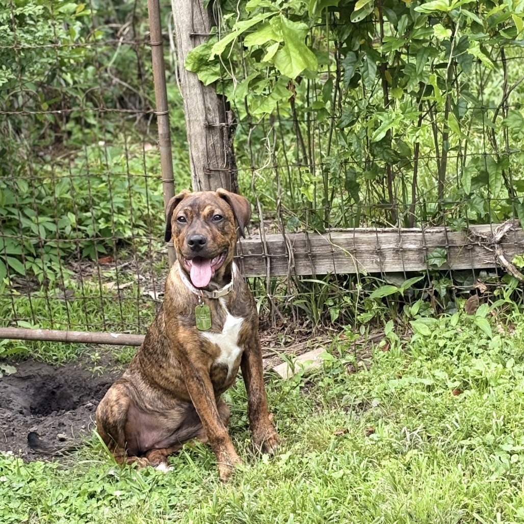 Penelope — thumbnail 11