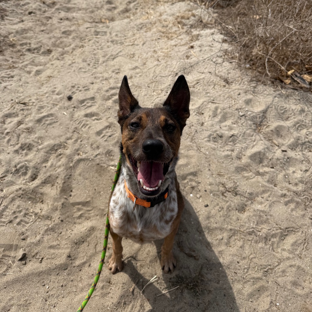 Cash, photo 15
