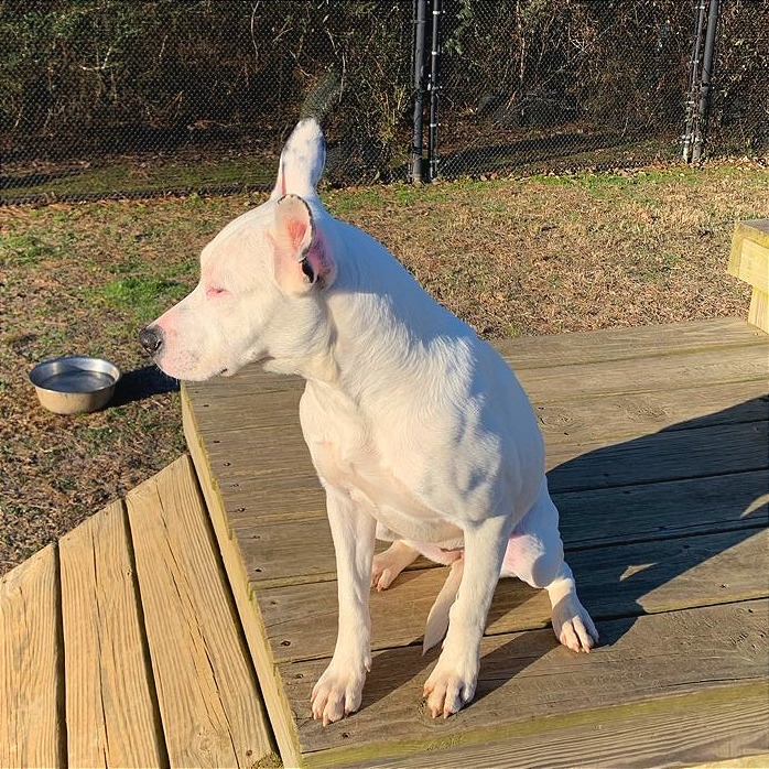 Winnie — thumbnail 9