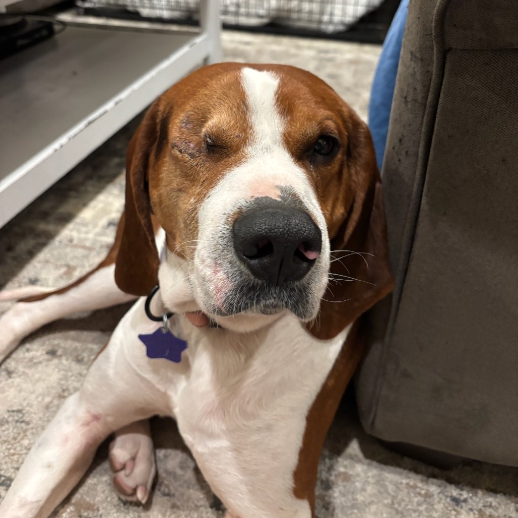 Chip — thumbnail 3