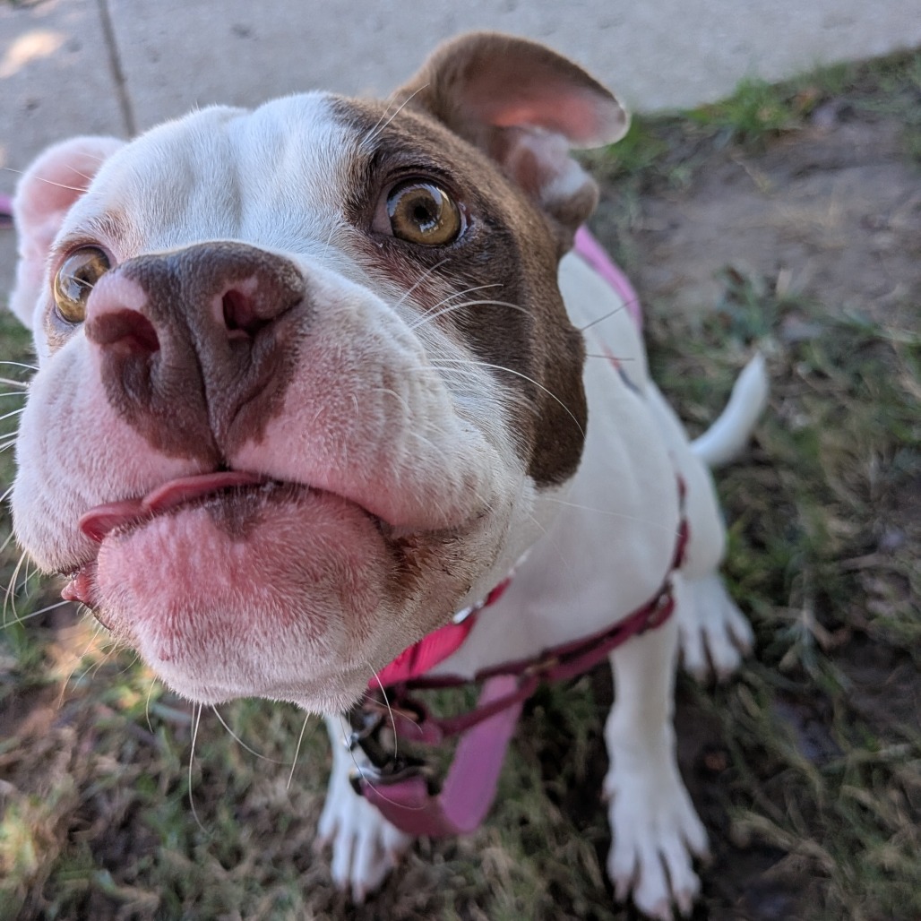 Olivia photo 5
